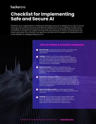 AI Safety and Security Checklist